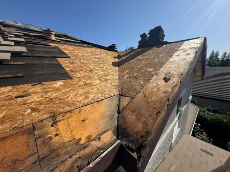 Dry rot repair services near me